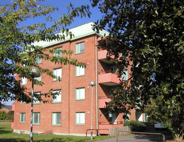 Pomonagatan 3B - Foto 1