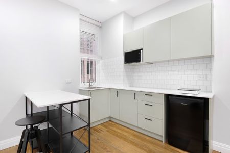 Oversized Renovated Studio - Photo 3