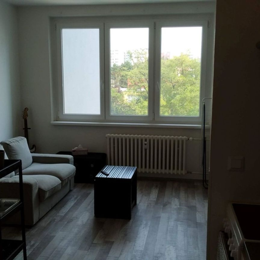 Pronájem bytu 2+kk • 44 m² bez realitkySpodní, Brno - Bohunice, Jihomoravský kraj - Photo 1