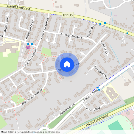 Sycamore Avenue, Wymondham