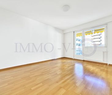 SPACIEUX AVEC BALCONS ET VUE LAC - EMPLACEMENT IDYLLIQUE - Photo 6