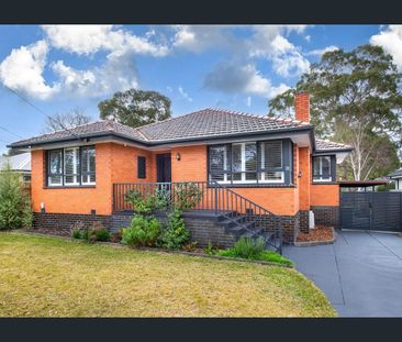 Spacious & Sophisticated Family Living in Blackburn North - Photo 6