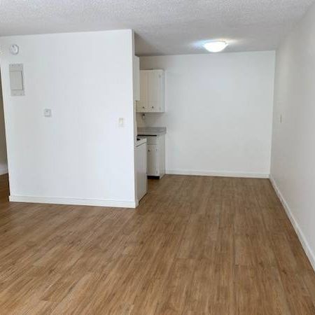 $1600 NEWLY RENOVATED 1BR APARTMENT - Photo 3