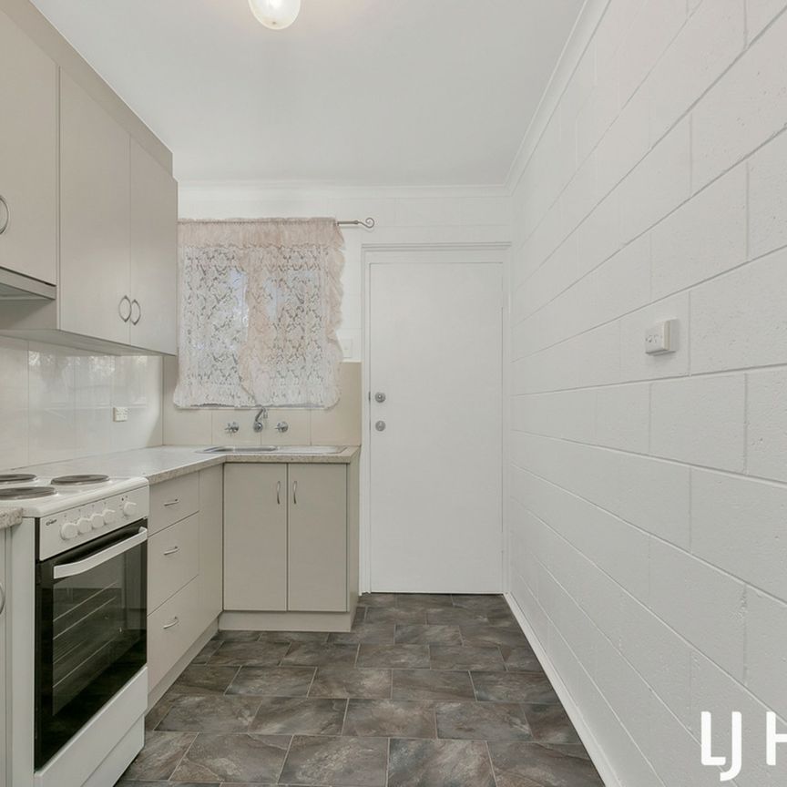 Freshly renovated unit - Photo 1