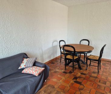 Location Appartement 2 pièces 45m² MONTAUROUX 83440 - Photo 2