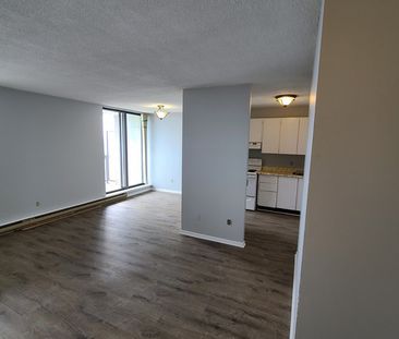 Bronson Place | 440 Gloucester, Ottawa - Photo 1