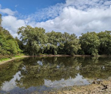 For Lease - 17268 Warden Avenue, Whitchurch-Stouffville, Ontario - Photo 3