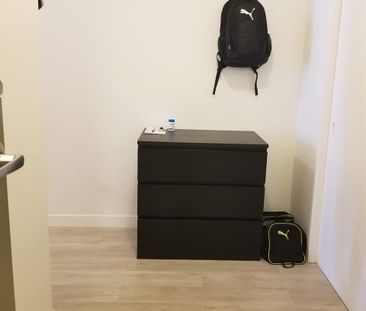 Studio - Montréal - $1,230 /mo - Photo 2