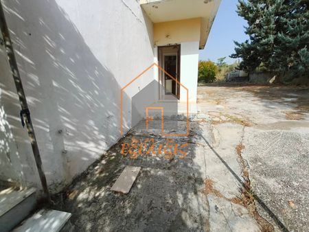 Μονοκατοικία για ενοικίαση Άγιος Νεκτάριος (Νέα Ιωνία Βόλου) - Φωτογραφία 5