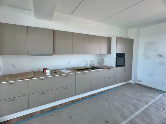 Moderne penthouse med smuk udsigt i Nørresundby - Photo 1