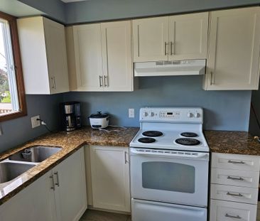 For Lease - 3 Baxter Crescent Unit# BEDRM 4, Thorold, Ontario - Photo 3