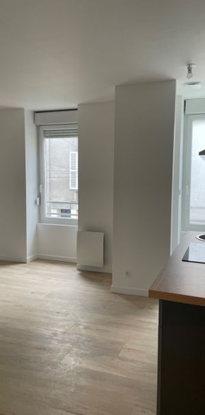 Appartement quartier Jardin des Plantes - Photo 1