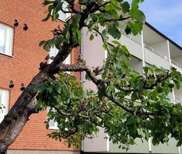 Skolvägen, Vagnhärad - Foto 1