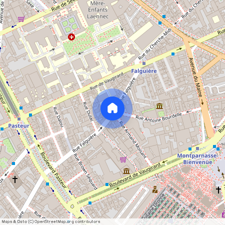 Rue Falguière et Rue Armand Moisant 75015 Paris (15e arrondissement)