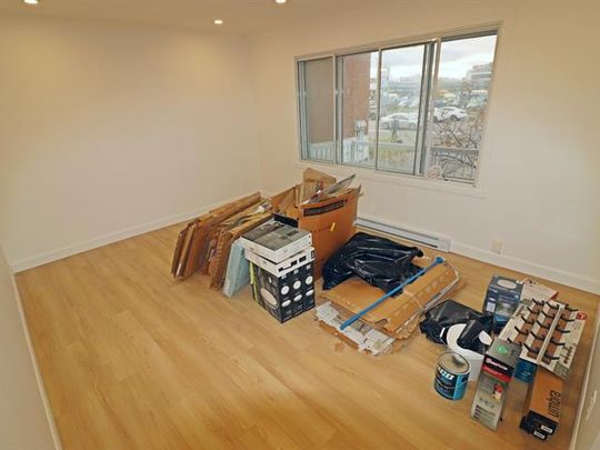 3010 Rue Sherbrooke E. - Photo 1