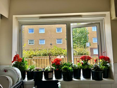 2 Bed Detached House, Nightingale Avenue, HA1 - Photo 4