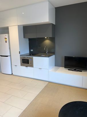 1409/551 Swanston Street, Carlton VIC 3053 - Apartment For Rent | Domain - Photo 1