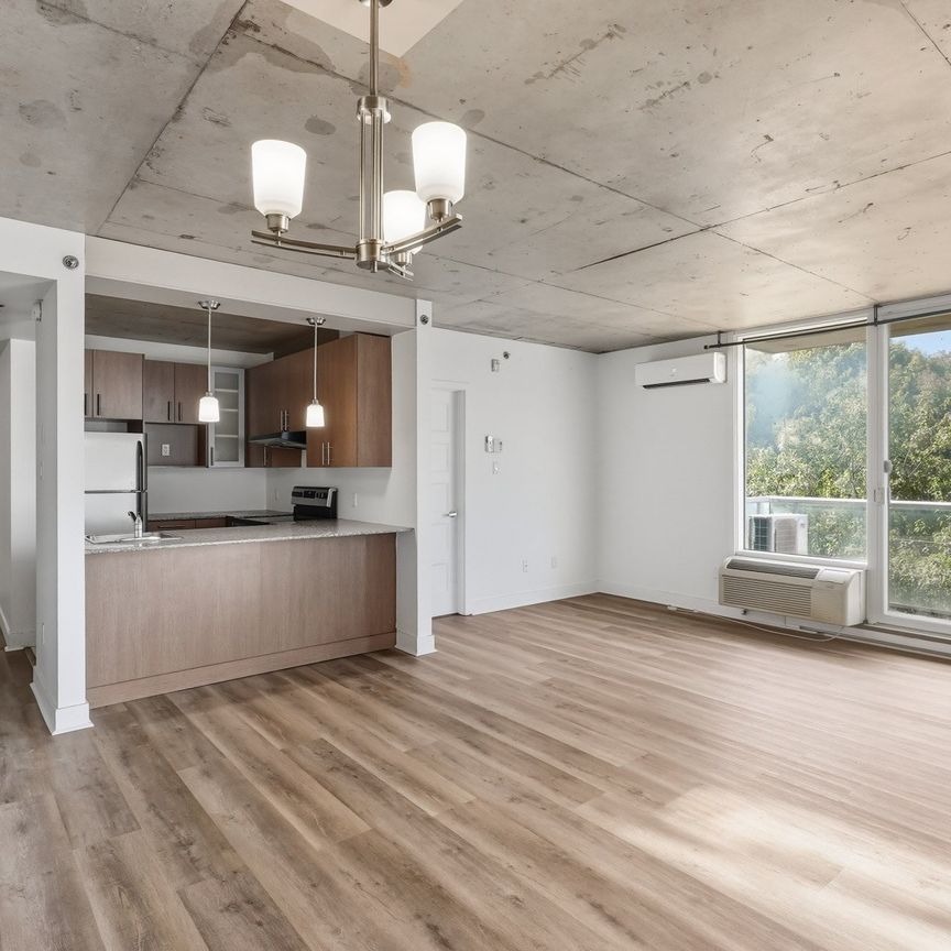 250 Boul. Maisonneuve, #903 - Photo 1