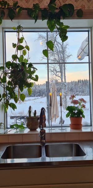 Nyvik, Bygdeå - Photo 1