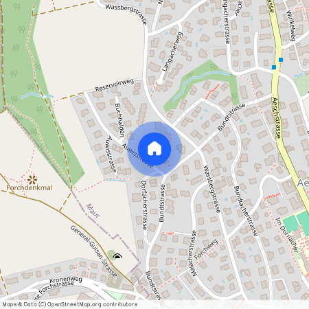 Bundtstrasse 19, 8127 Forch