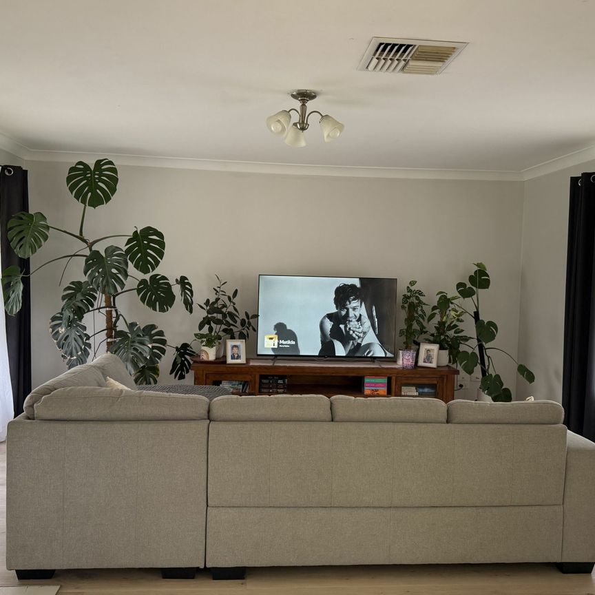 Rental in Dubbo - Close to Shops and Schools - Photo 1