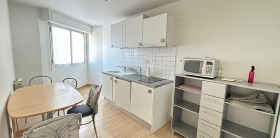 Location Appartement 1 pièce 30m² ANNEMASSE 74100 - Photo 2