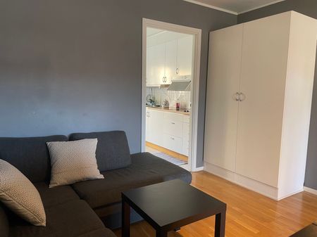 Magasinsgatan, Visby - Photo 2