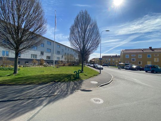 Bautastensgatan, Göteborg - Photo 1