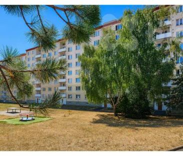 Pronájem bytu 1+1, 36 m², OV, Klášterec nad Ohří, ul. Pionýrů - Photo 1