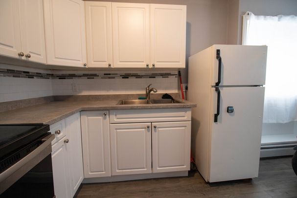 COZY BACHELOR APARTMENT IN THOROLD!! - Photo 1