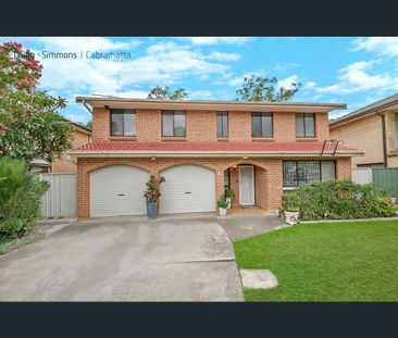 256 Canley Vale Road, Canley Heights, NSW 2166 - Photo 2