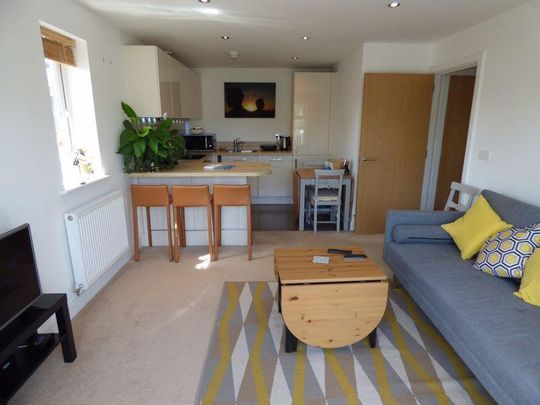 1 bedroom apartment to rent - Photo 1