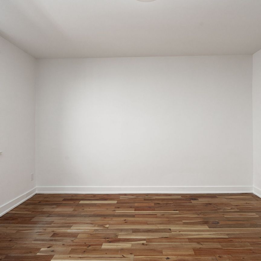 54 Maitland Street - Photo 1