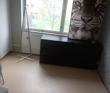 Larsbergsvägen, Lidingö - Foto 3