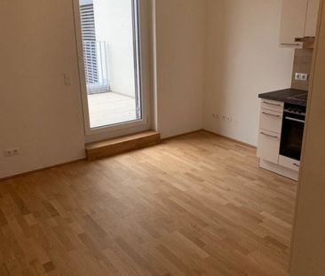 PRIVATE & EXKLUSIVE FEIERABENDSONNE - SÜDWEST DACHTERRASSE MIT ELEK... - Foto 1