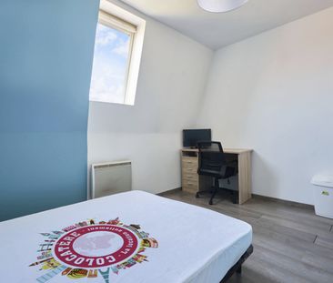Croix G Roommate 5 Bedrooms at Roubaix - Photo 5