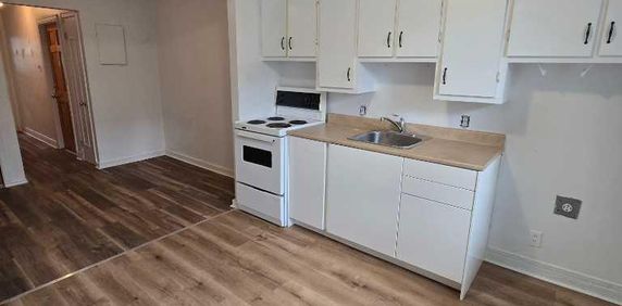 3 1/2 Mercier/Parc Bellerive - Photo 2
