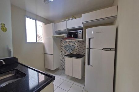 Apartamento para alugar 2 quartos Condomínio Parque Padovani, Paulínia/SP - Foto 5