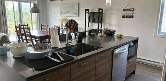 4 et demi a louer decembre - Photo 2