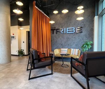 Flat share to rent - Photo 3