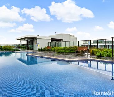 510/6 Galloway Street, Mascot NSW 2020 - Apartment For Rent | Domain - Photo 5