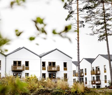 Taggsvampsvägen 3 - Photo 1