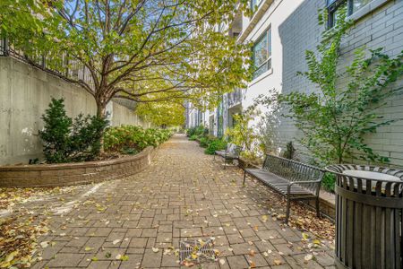 For Lease - 200 Besserer Street Unit# 101, Lower Town - Sandy Hill, Ontario - Photo 2