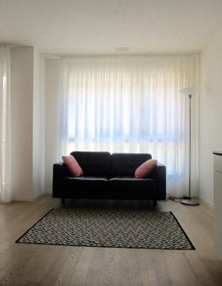 Möblierte und schöne 1-Zimmer Wohnung im Kreis 5 (Zürich) - Photo 1