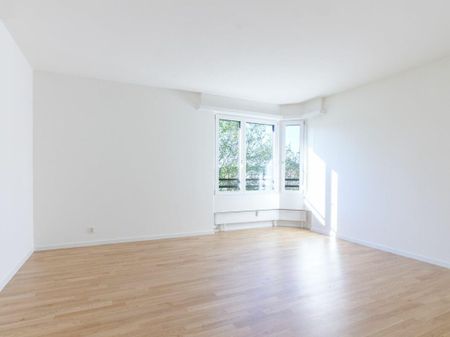 Grosszügige 5.5 Zimmerwohnung in Aesch - Foto 3