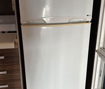 Finca rústica de alquiler en Partida Pino, 11l, Los Montesinos - Photo 4