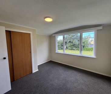 Renovated Gonville home - Photo 5