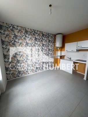 Location Appartement 1 pièce 31m² ST ETIENNE 42000 - Photo 1