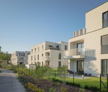 Drei-Zimmer-Wohnung mit Garten und Terrasse - Photo 3