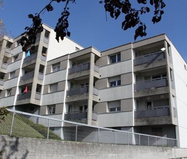 Geräumige Wohnung in schöner grüner Umgebung, ohne Sichtkontakt - Photo 5